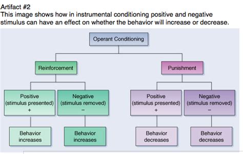 Classical and Instrumental Conditioning: Principles and  .